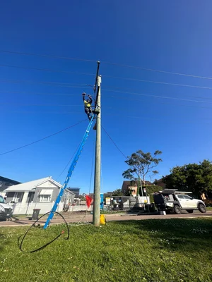 A worker performing maintenance on a utility pole with a ladder